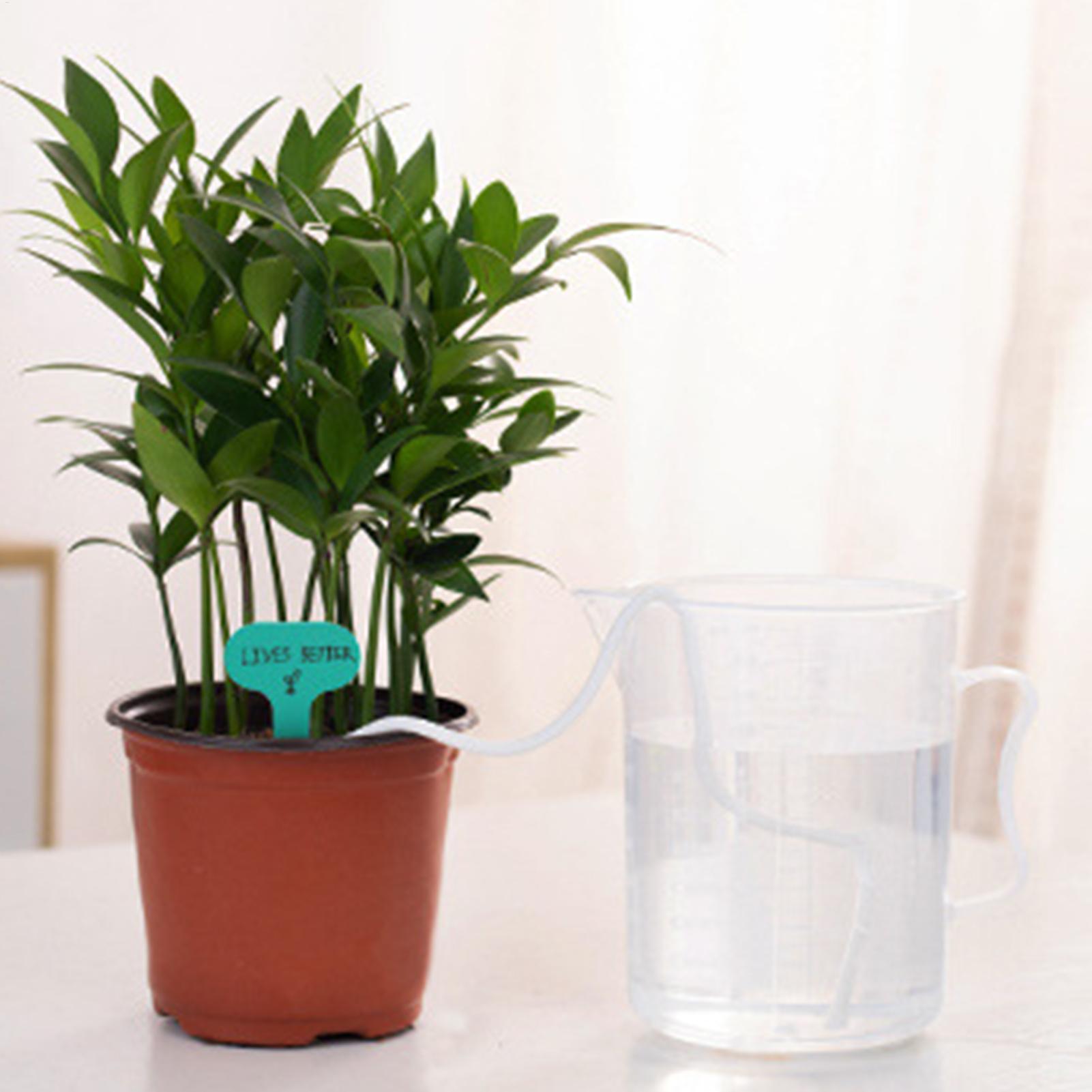 Cuerdas de riego automático pa - Automatic Plant Waterer reseña y precio