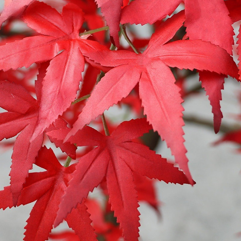 Árbol artificial de arce rojo  - Gardening Hand Tools Japanese reseña y precio